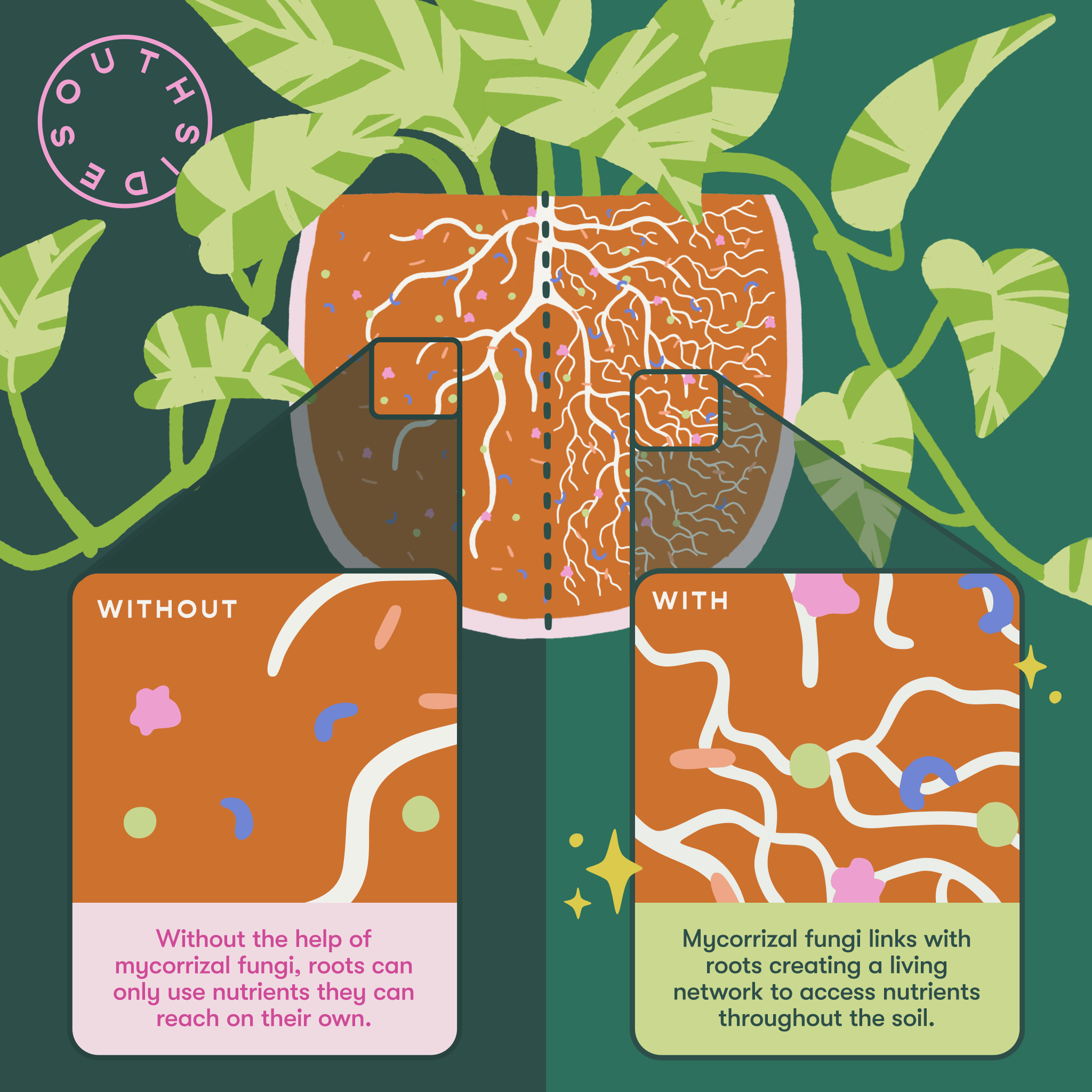 Leafy Plant Food (142g) - Image 4