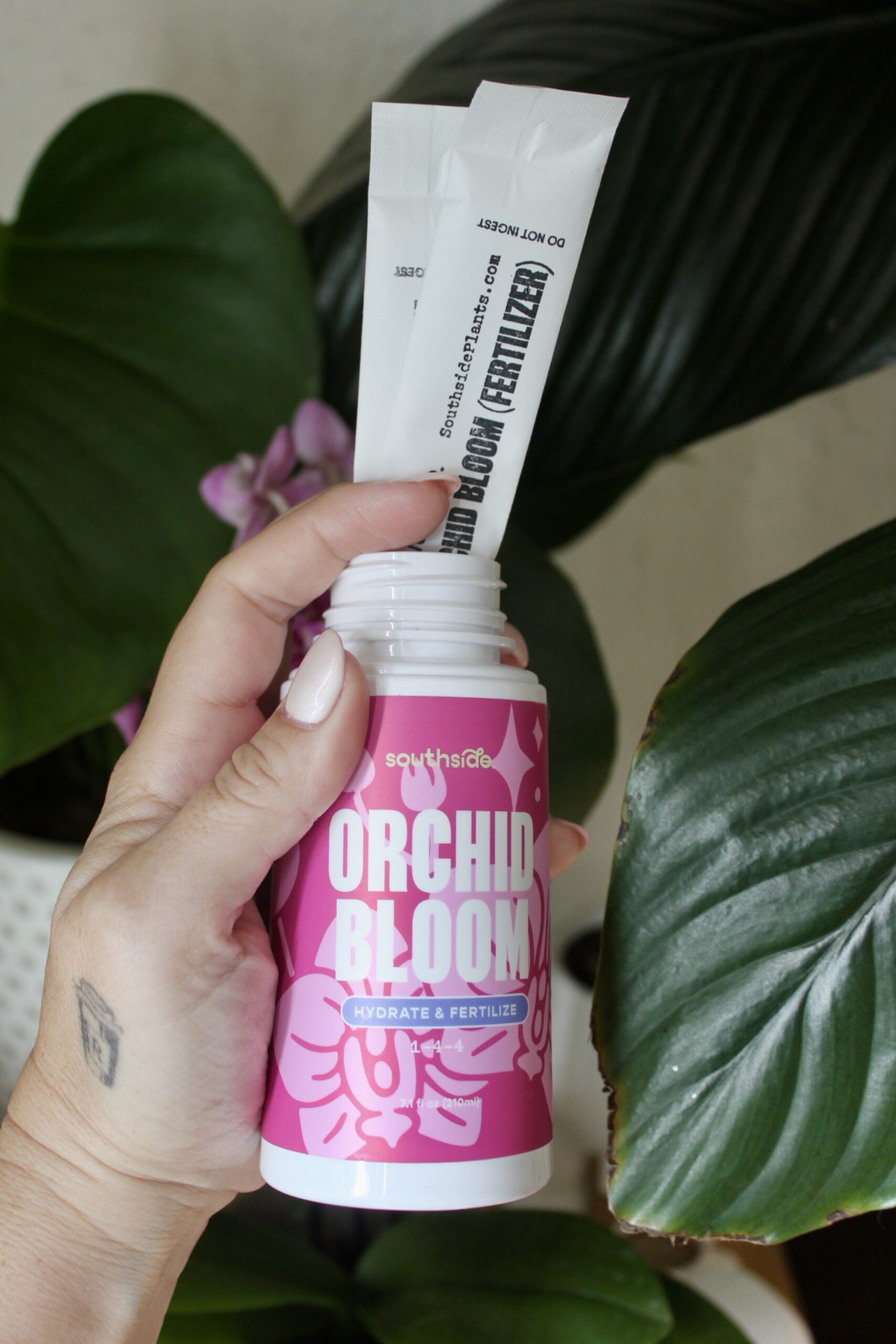 orchid bloom spray two refills