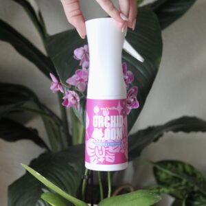Southside Orchid Bloom Spray