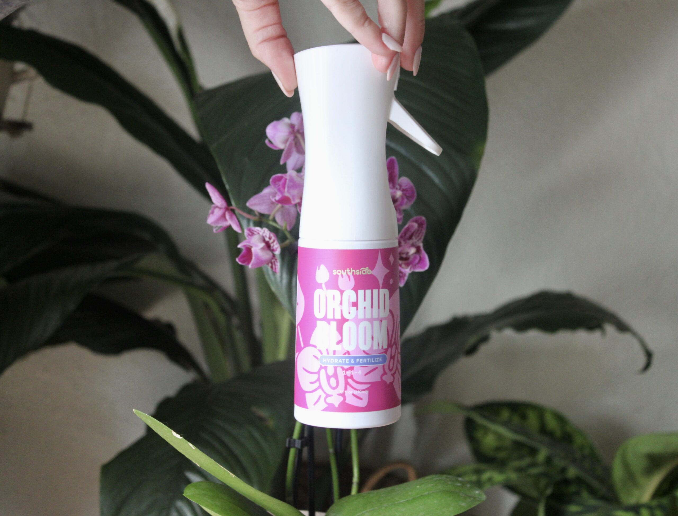 Southside Orchid Bloom Spray